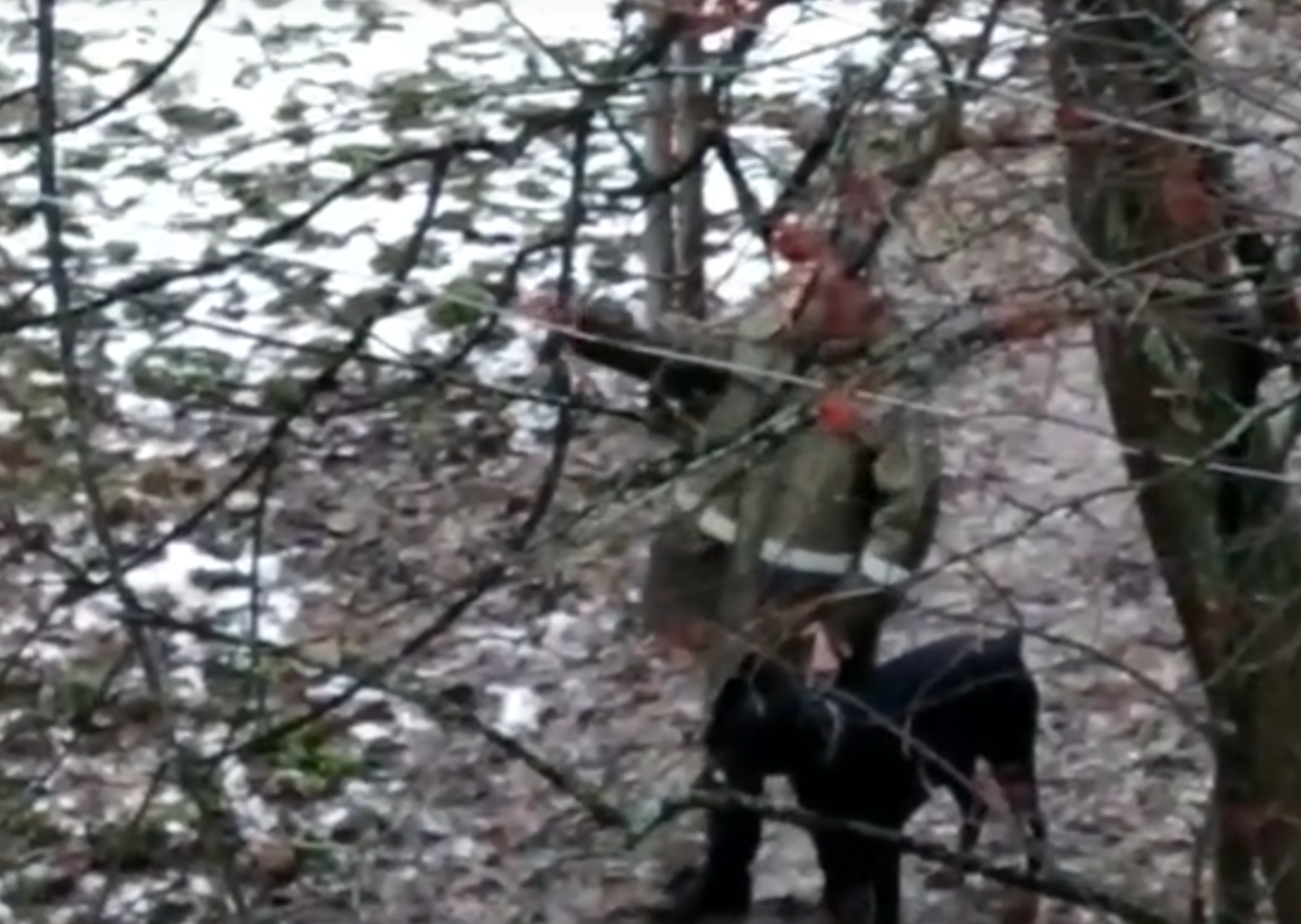 Коллективное заявление участковому не помогло решить конфликт