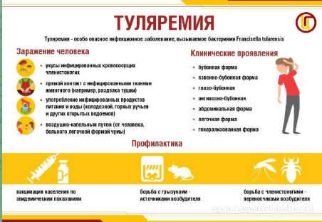 Минздрав предлагает пройти анонимный опрос о туляремии