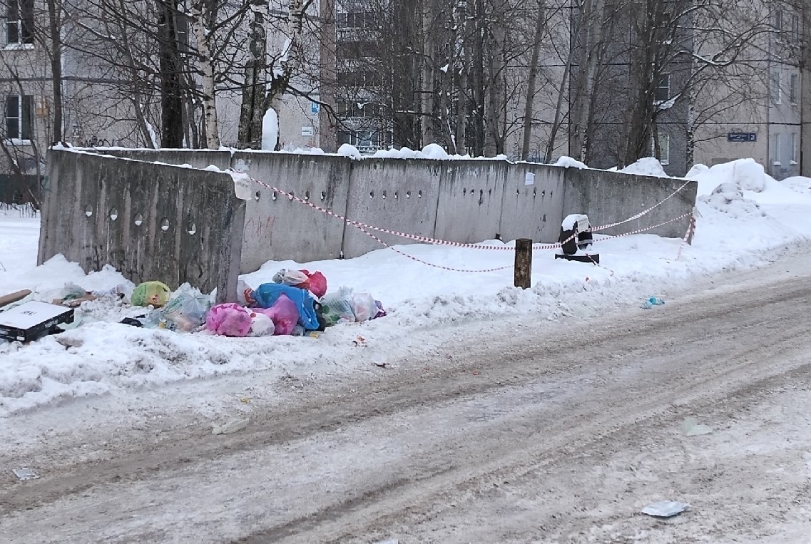 На Древлянке убрали мусорку у детсада, но забыли сказать, где новая