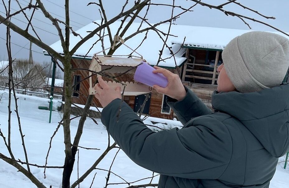 Необычный трюк придумали вороны, чтобы добыть еду в Пряжинском лесничестве