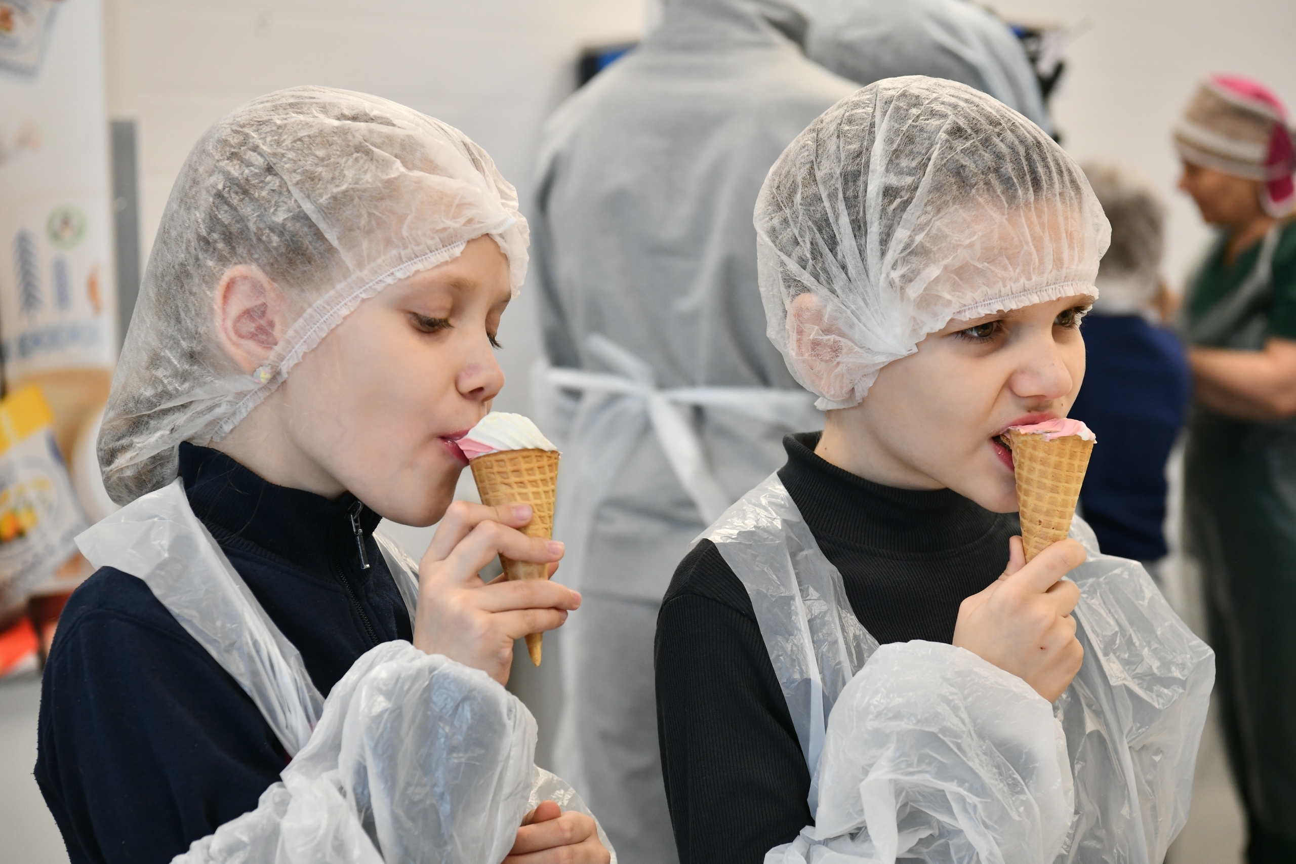 Резидент карельского технопарка нарастил выпуск мороженого до 57 тонн в год