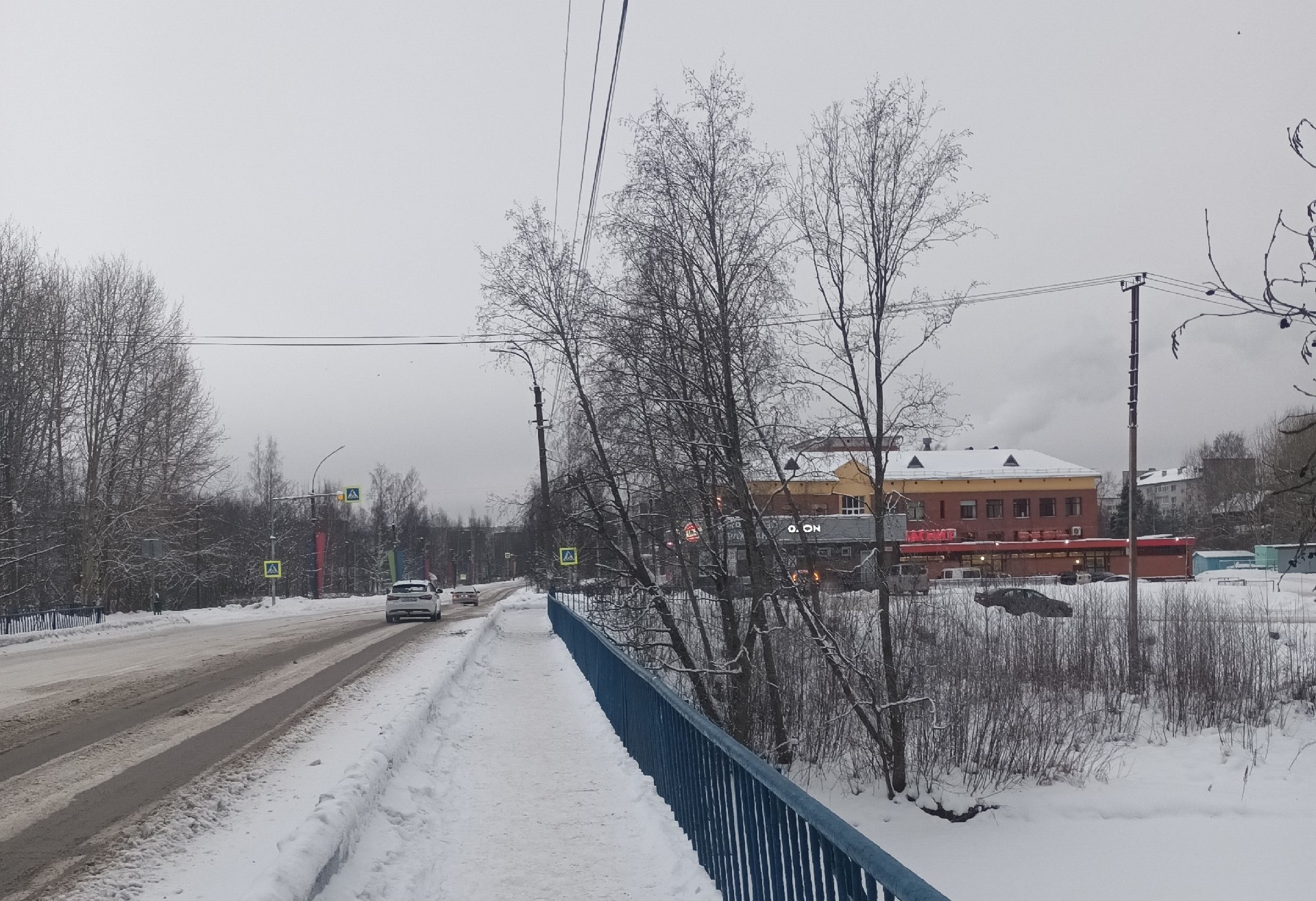 Житель Медвежьегорска раскритиковал уборку аварийного дерева