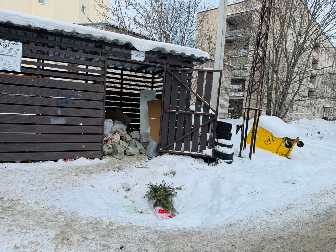 Суд обязал администрацию Сегежского округа отодвинуть контейнерные площадки от жилых домов
