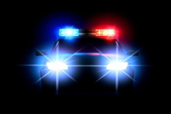 Полицейские помогли беременной женщине на трассе в Карелии