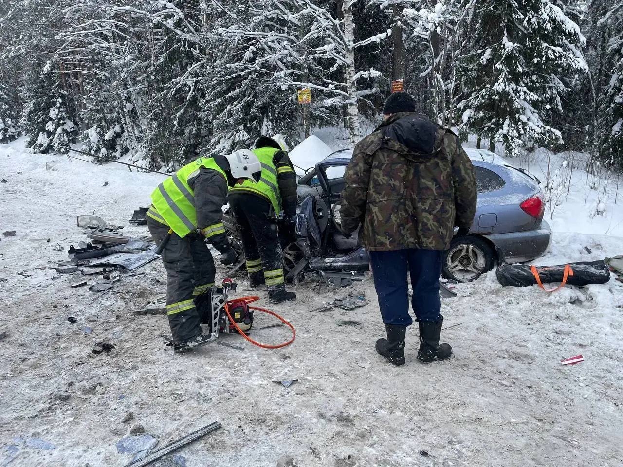 Пожарные достали из машины пострадавшего в лобовом столкновении на трассе в Карелии