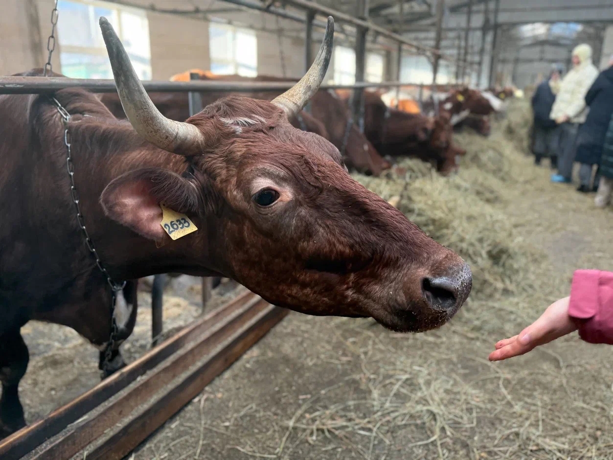 Агромаршрут по Карелии включил четыре уникальных объекта сельского туризма
