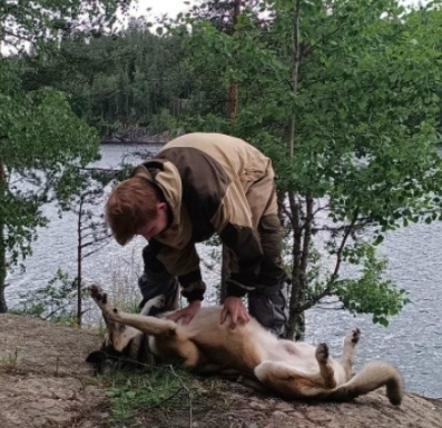 В Карелии разыскивают «черного ветеринара», который усыпил собаку погибшего лыжника
