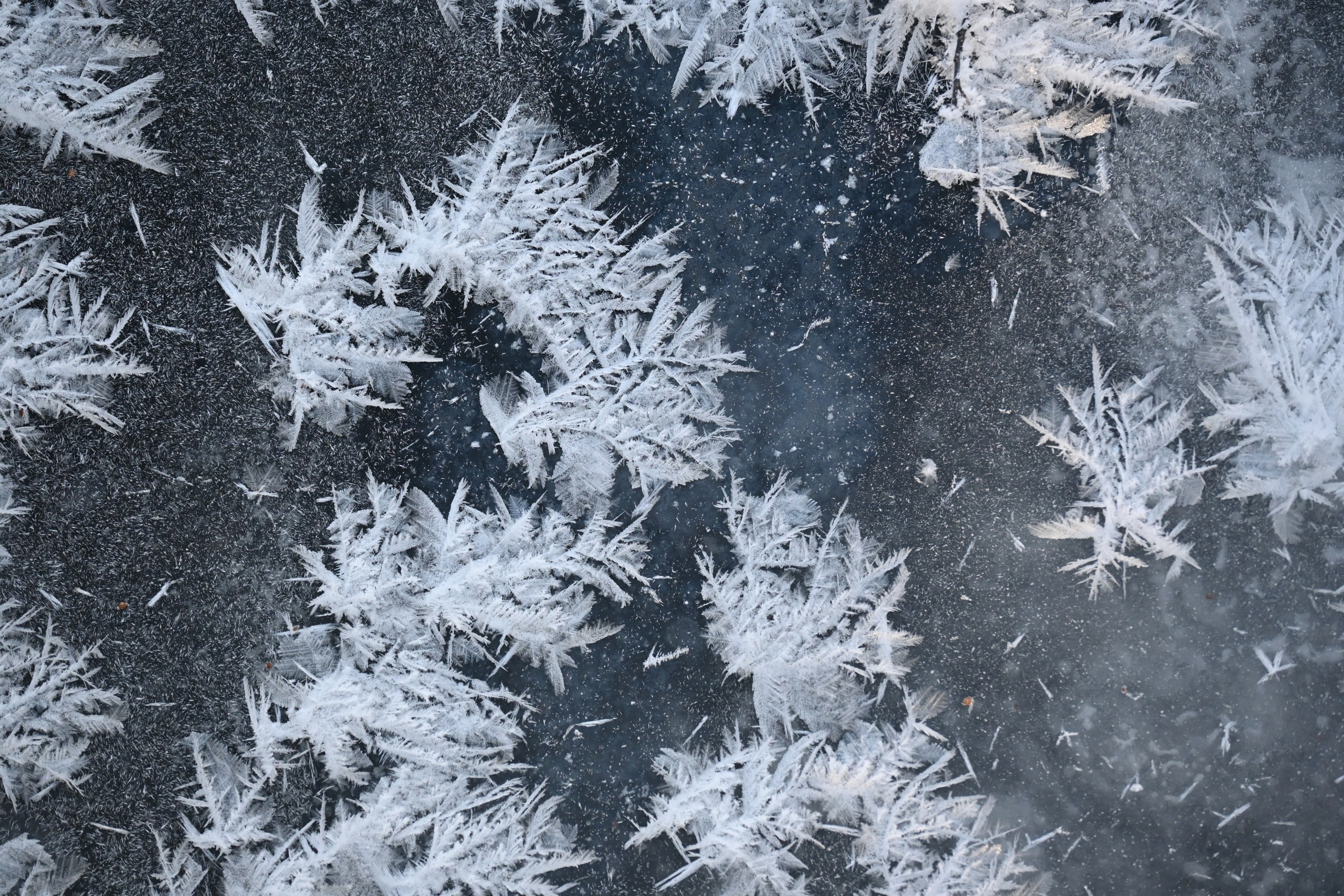 Снежные цветы распустились на льду реки Суна в Карелии