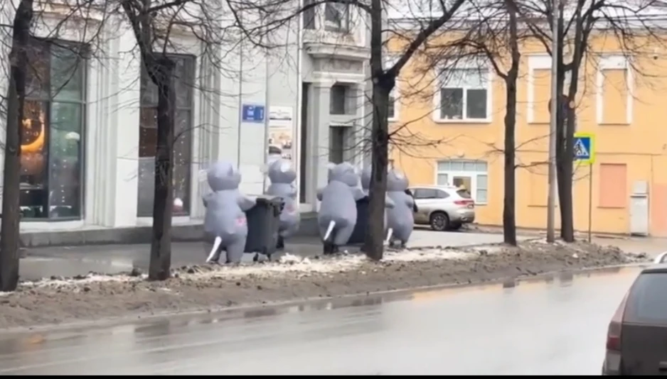 В Петрозаводске партию «Новые люди» наказали из-за митинга против крыс