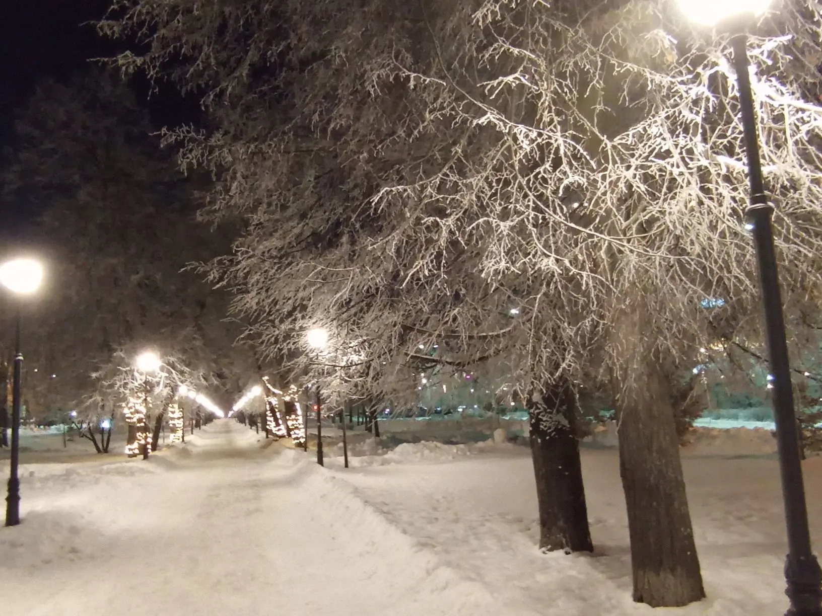 Морозы не ослабевают: синоптики Карелии рассказали о погоде на субботу