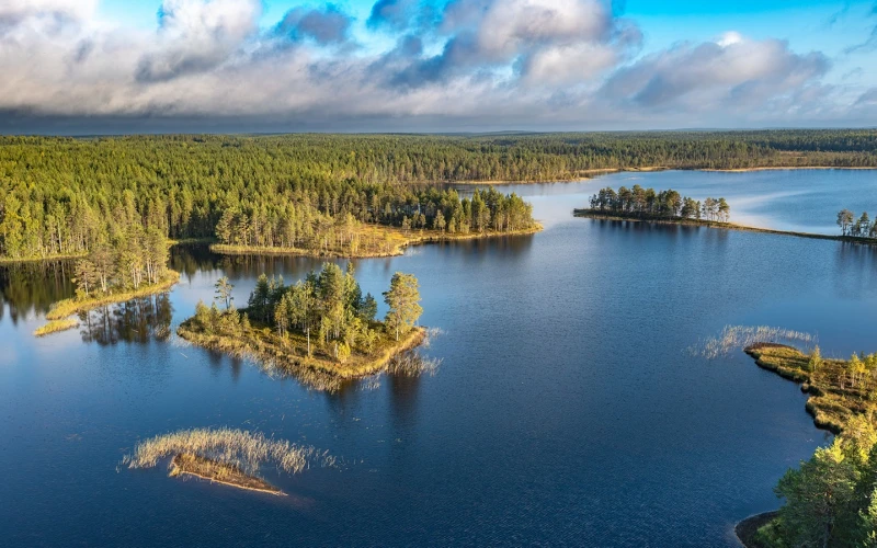 Вопросов в суде много: защита земель на берегу Ладоги набирает обороты
