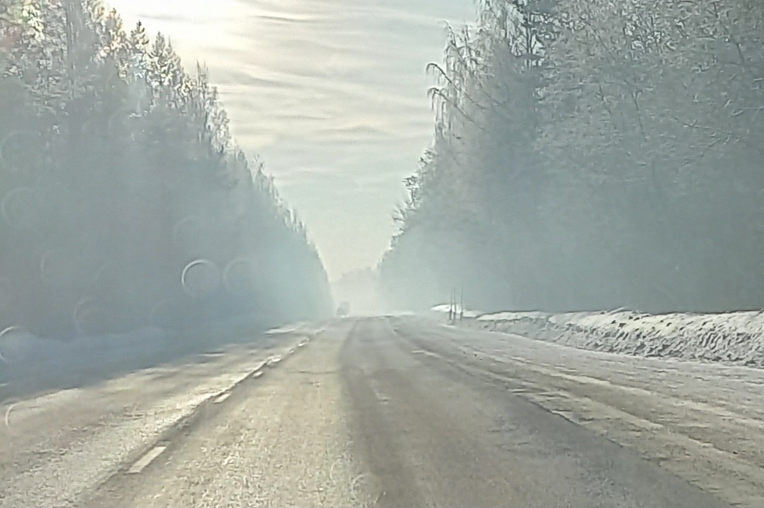 «Свалка горит?» - под Петрозаводском заметили дым и вонь от горелого мусора