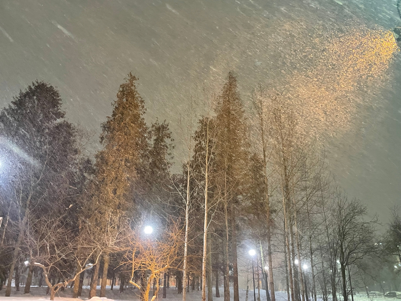 Снегопад надвигается на Карелию