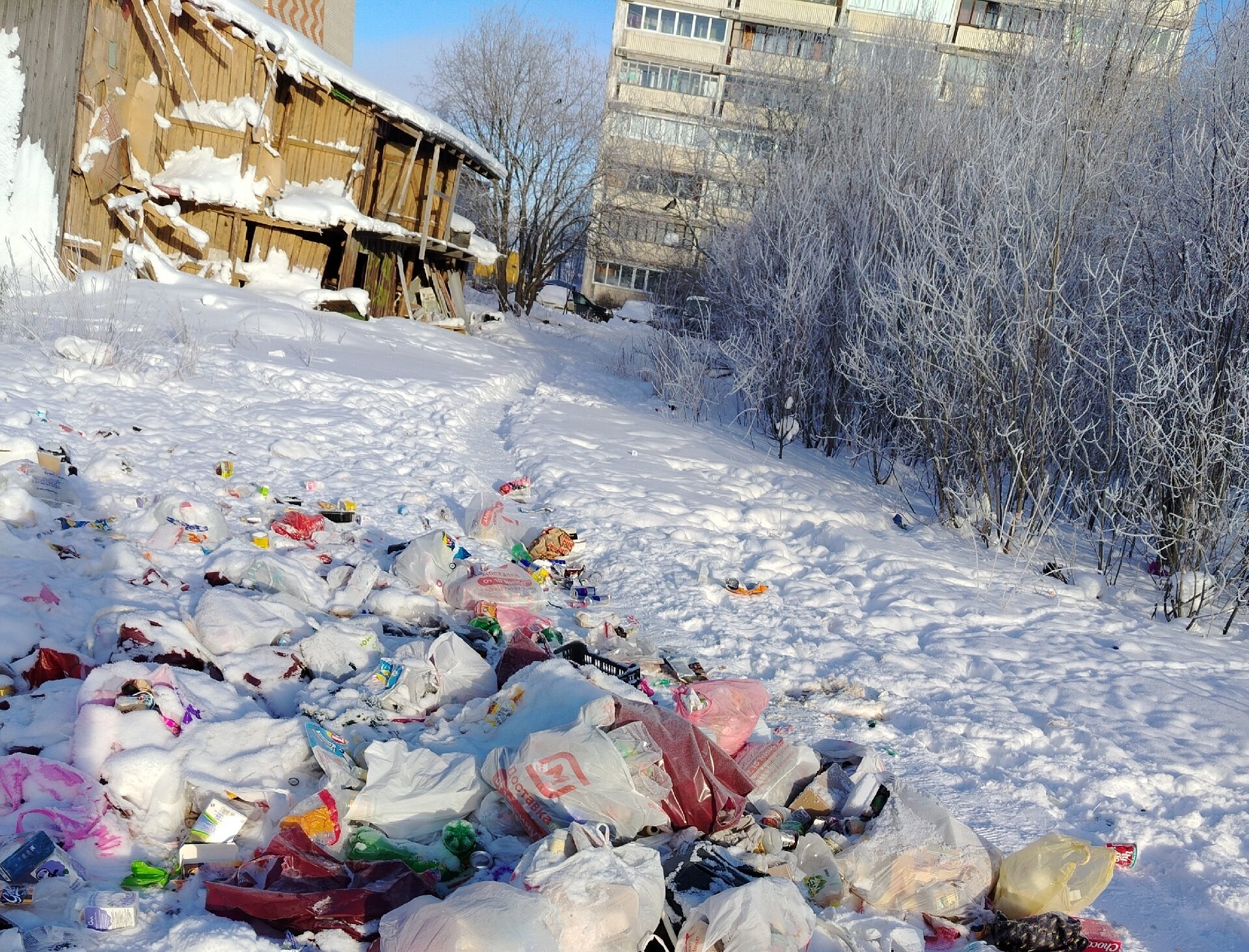 Мусорные контейнеры исчезли на одной из улиц в густонаселенном районе Петрозаводска