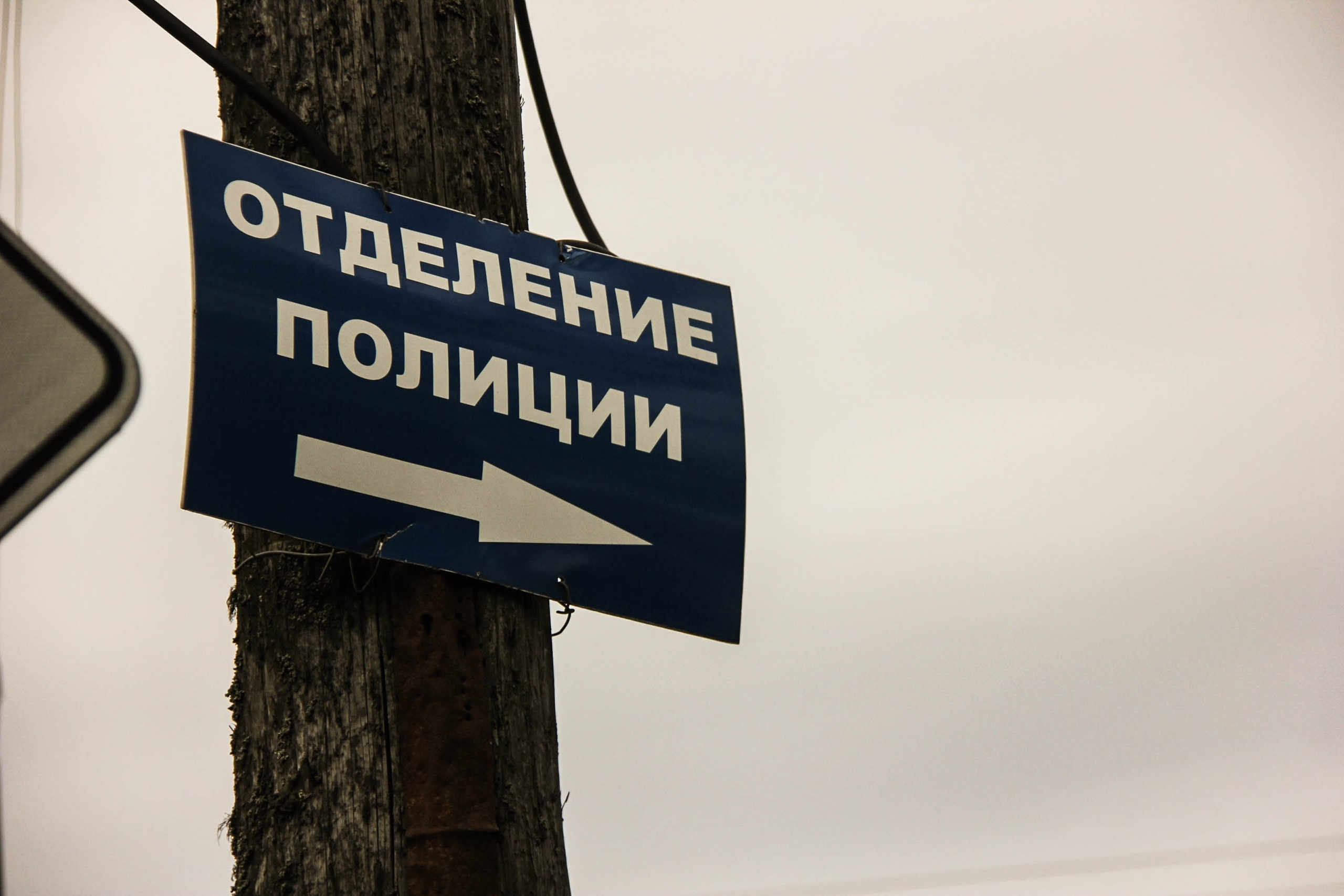 В Карелии внучка кутила на деньги бабушки, а та и не знала