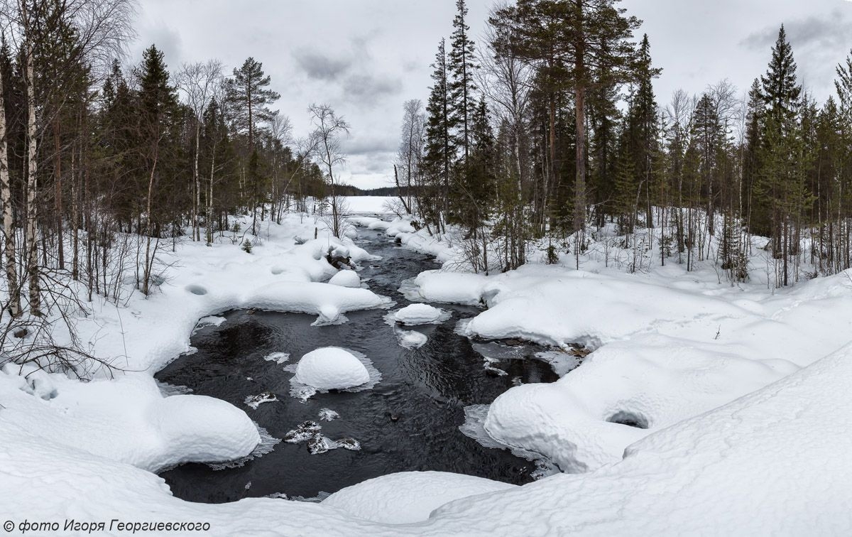 Зимние паводки участились в Карелии из-за изменения климата