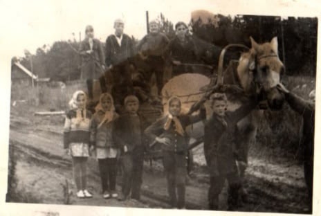 Жители карельской деревни пофамильно назвали тех, кто в советском детстве едва не сдал в металлолом трактор папы одноклассницы