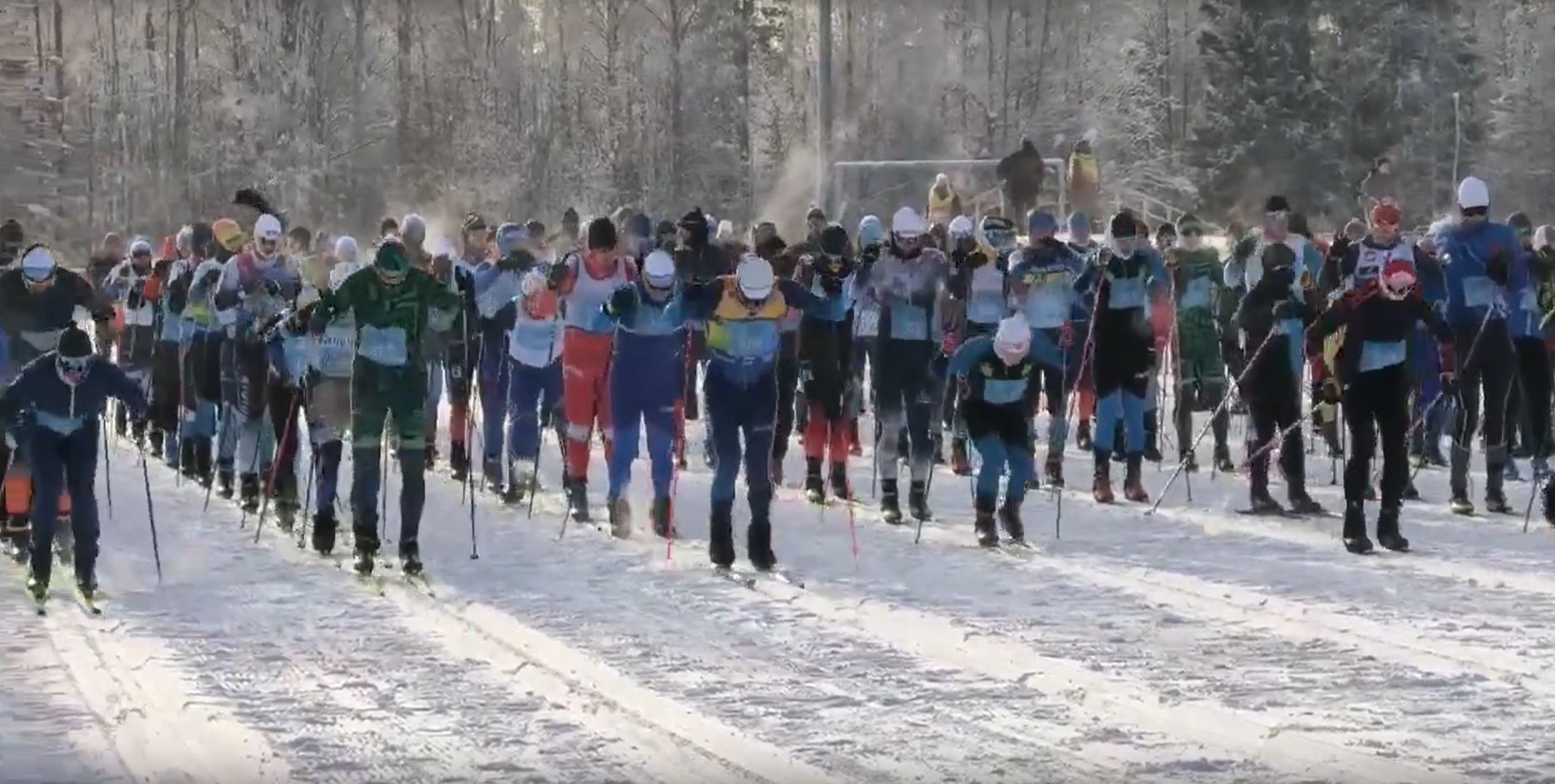 Массовая лыжная гонка стартовала в Петрозаводске