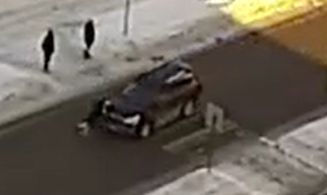 Девушка-подросток пострадала под колесами авто на нерегулируемом переходе в Петрозаводске