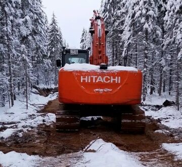 Явно перестарались: в Карелии продолжаются нарушения со стороны арендаторов лесных участков