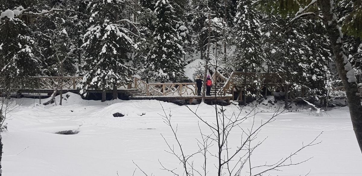 Посмотрели сугробы за 500 рублей: туристы о зимнем посещении водопадов Рускеалы