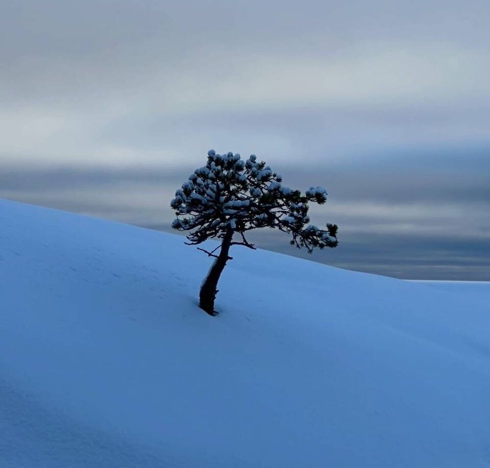 Уникальный туристический маршрут по лесотундре запустили в Карелии