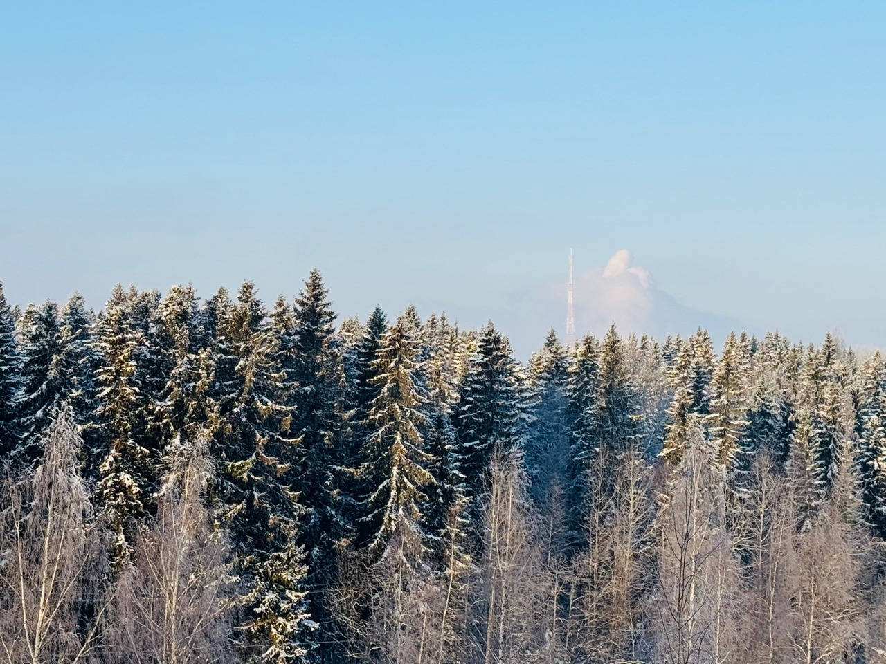 Мэрия опровергла информацию о строительстве гостиницы и ресторана на территории спорткомплекса «Курган»