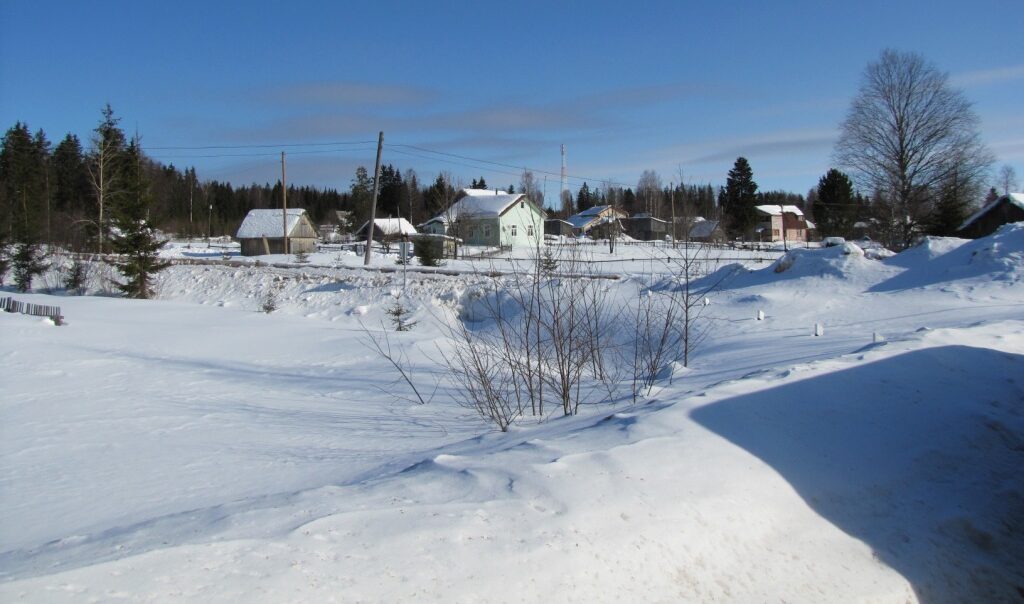 Энергетики предупредили жителей Карелии о возможных отключениях света