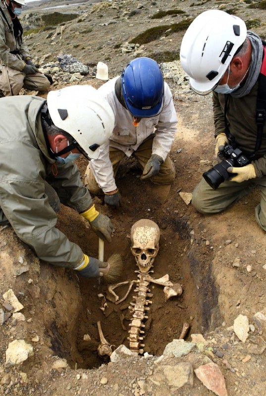 Раскопки древнего некрополя в Карелии рассказали о рационе наших предков