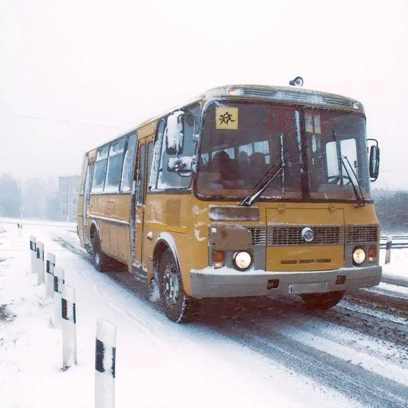 Детей не пустили в школьный автобус из-за прописки в Кондопожском районе