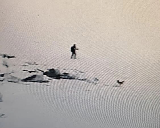 Ушел с собакой: появилась информация о пропавшем на Ладоге лыжнике