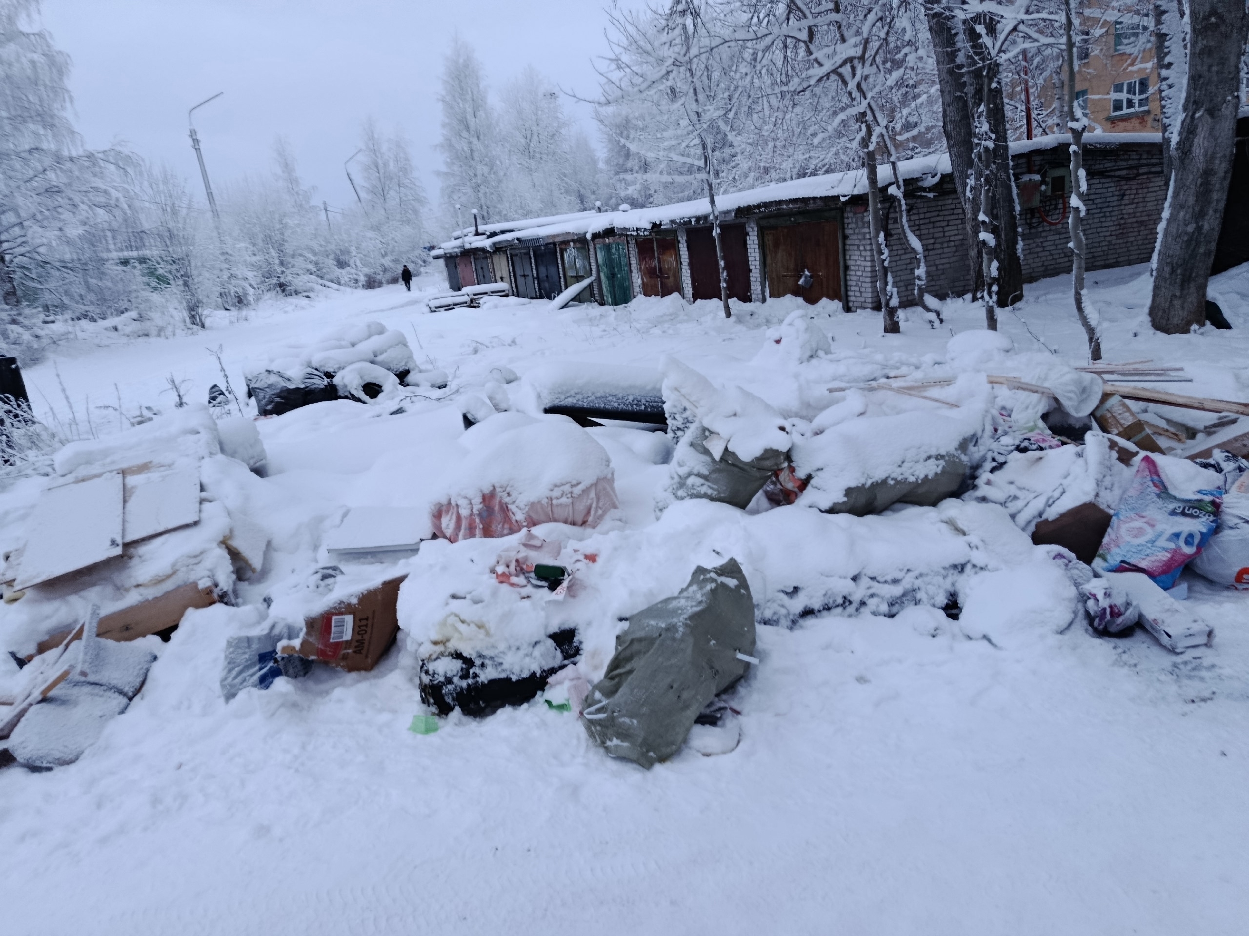 Стихийную свалку посреди улицы устроили жители Сегежи