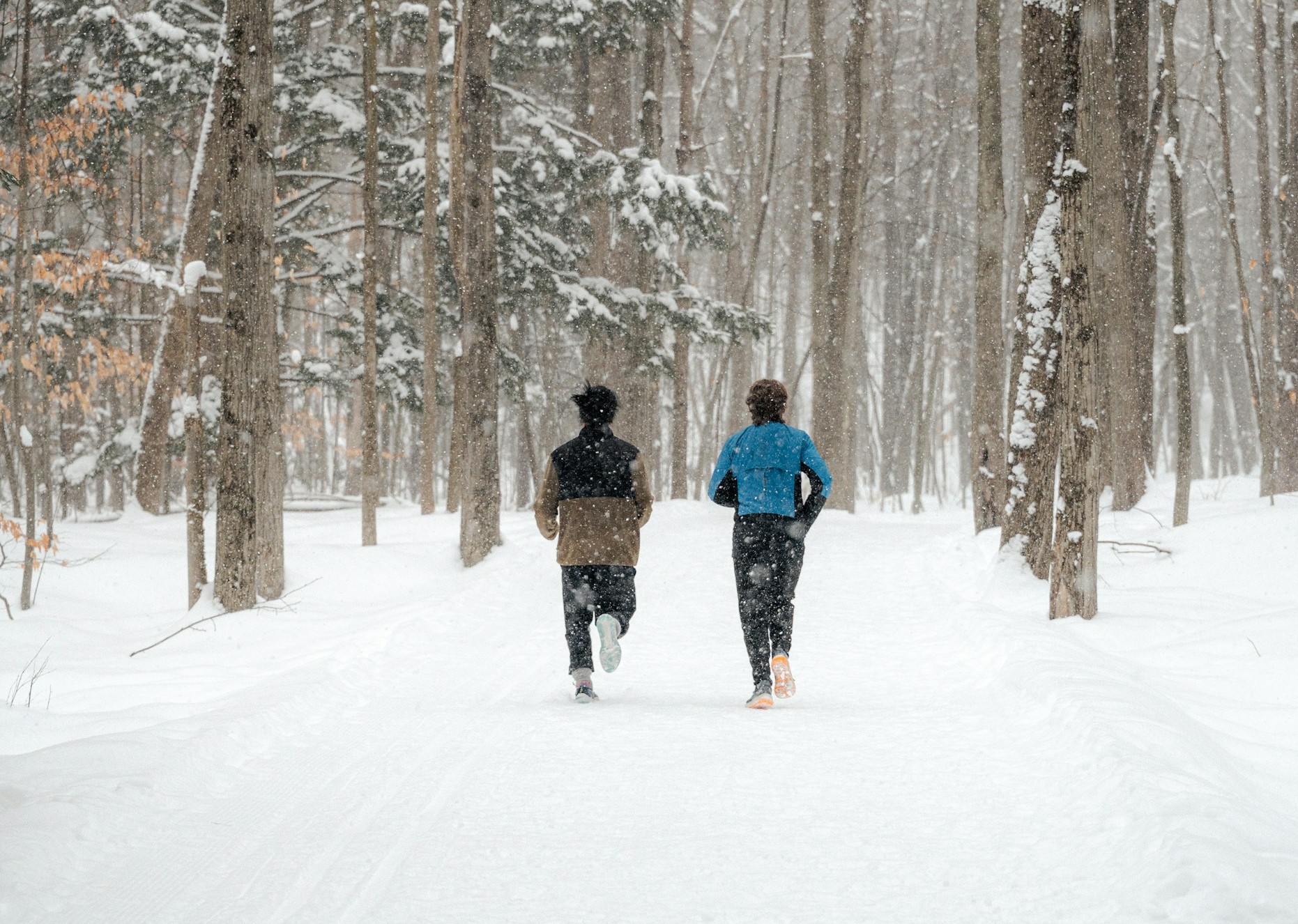 Onego Ice Ultra: ледовый марафон стартует 1 марта на «Ялгоре»