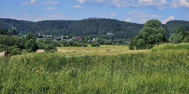 Жителям Карелии рассказали, можно ли восстановить право на земельный участок, если его сняли с кадастрового учета