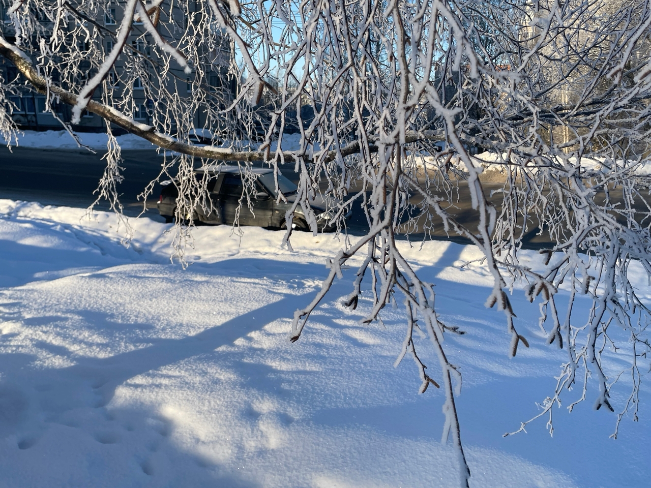 Мороз и солнце, гололедица и изморозь: традиционной февральской погодой встретит 6 февраля Карелия