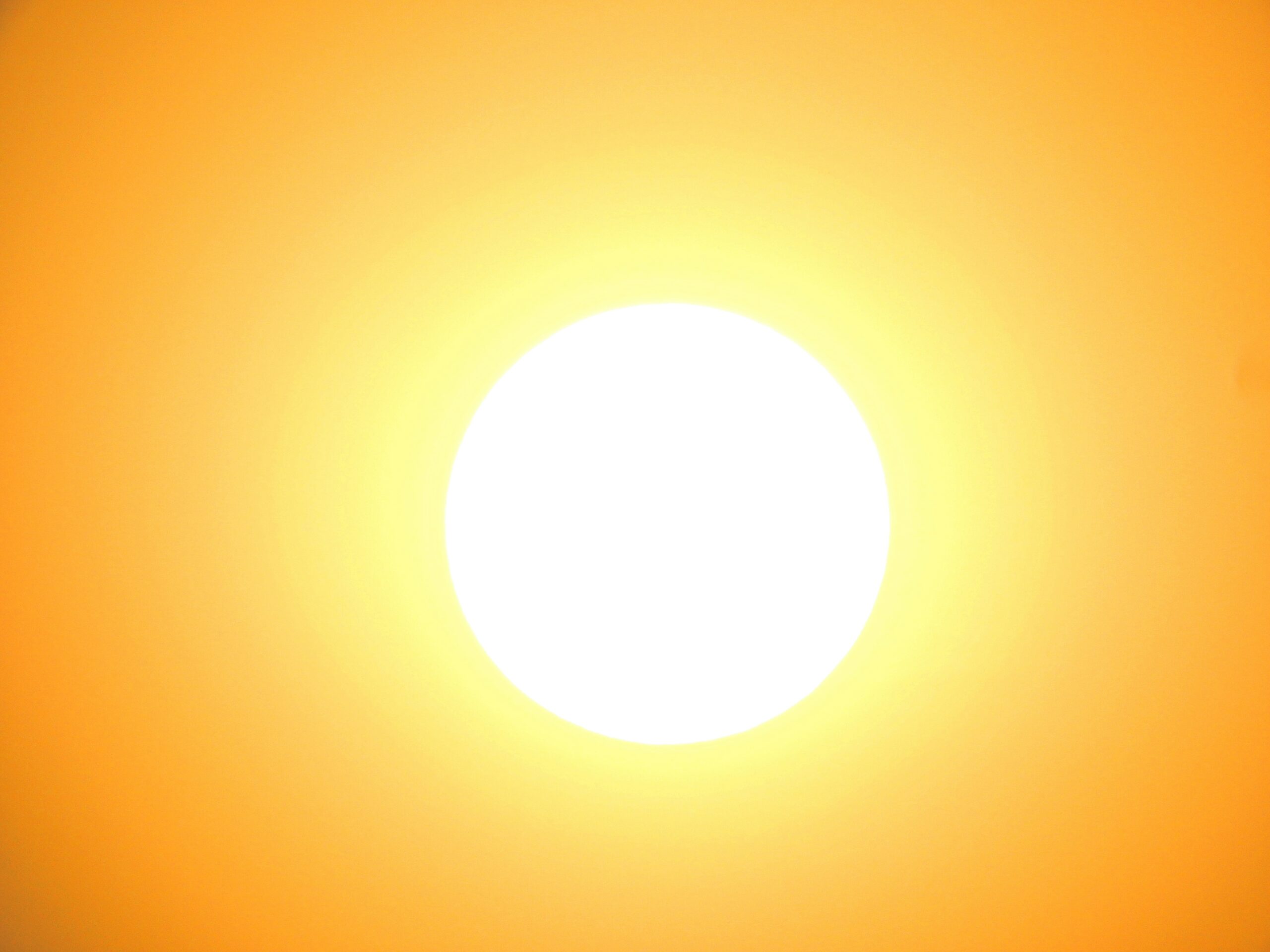 И на солнце не стало пятен: звезда впервые за 4 года стала «идеальным диском»