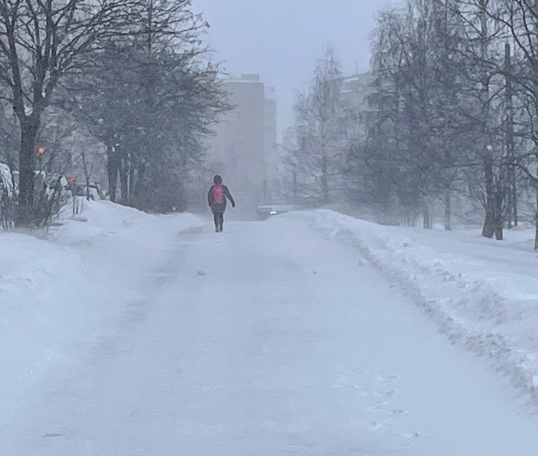 Снег, дождь, метель, от -10°С до +2°С и без солнца: погода в Карелии уйдёт в разнос в предпоследний день февраля