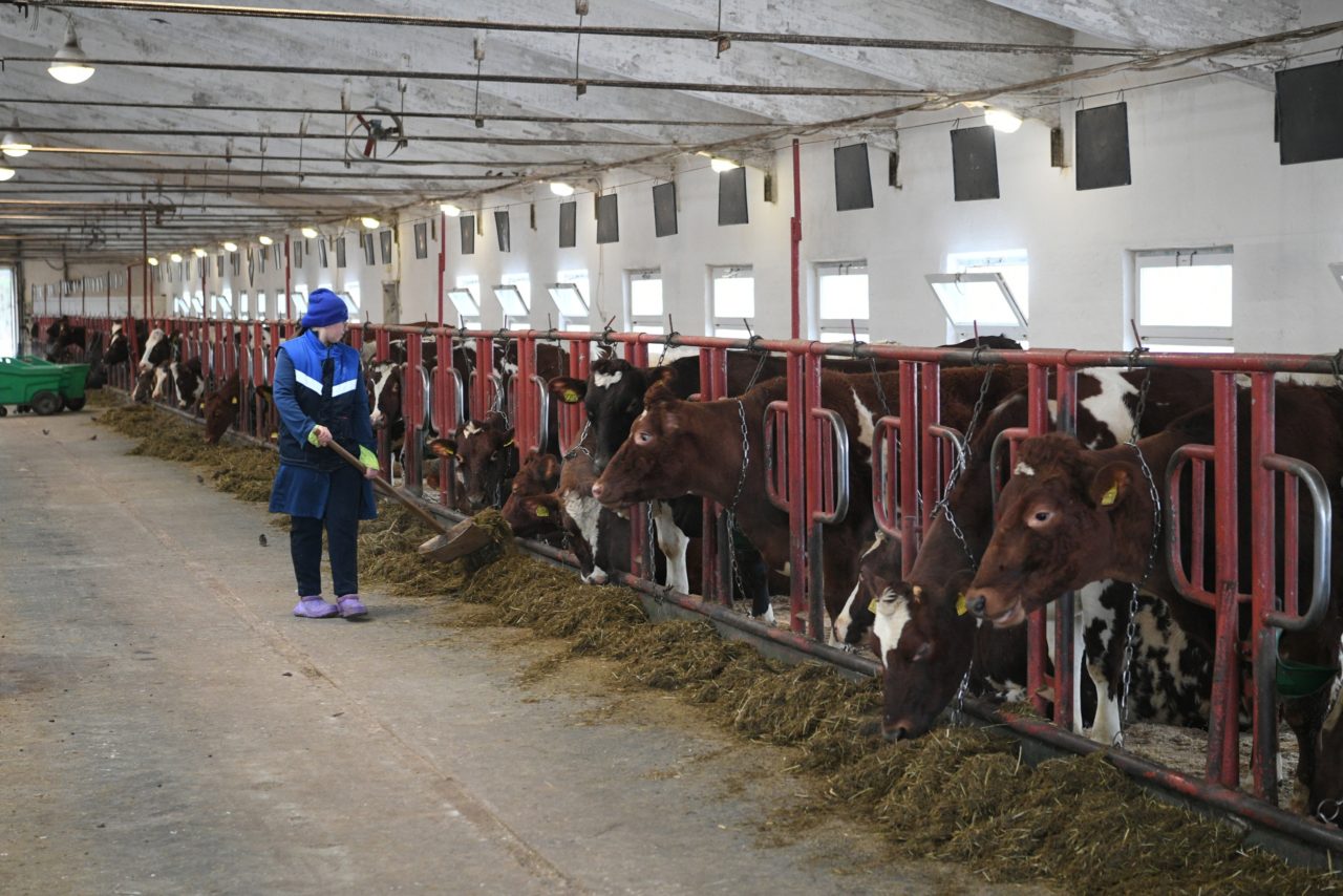 Племсовхоз «Мегрега» отозвал иск к ОМК с требованием об оплате долга