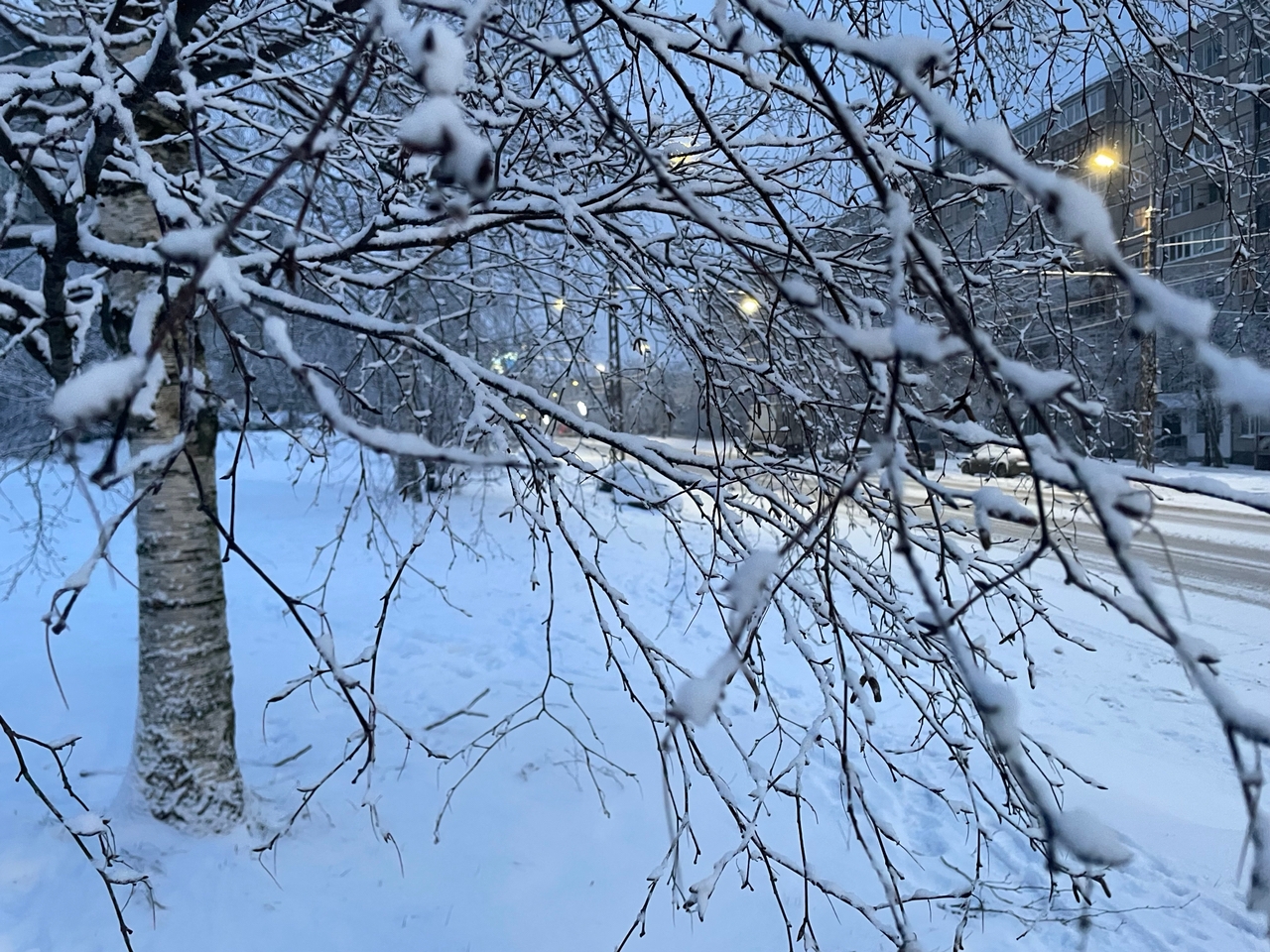 Мороз и гололедица под легкий танец снежинок сохранятся 9 февраля в Карелии