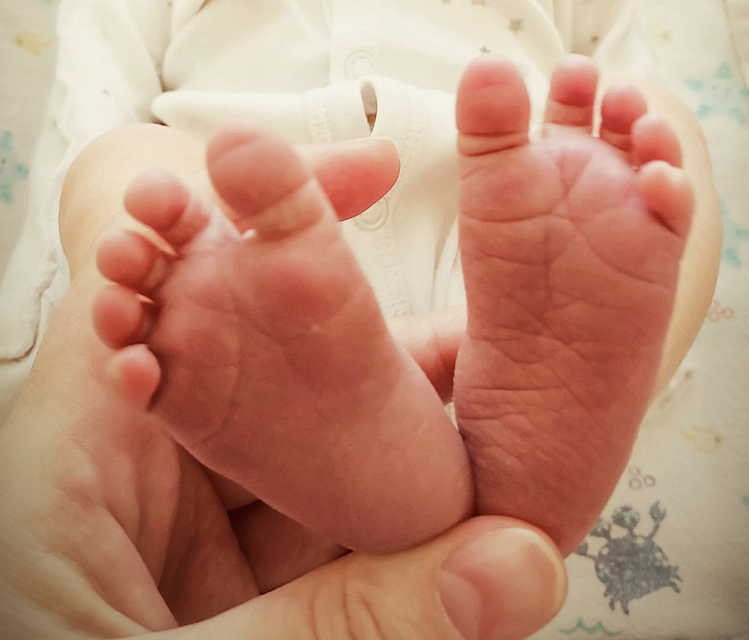 В Карелии за январь на свет появились 253 младенца