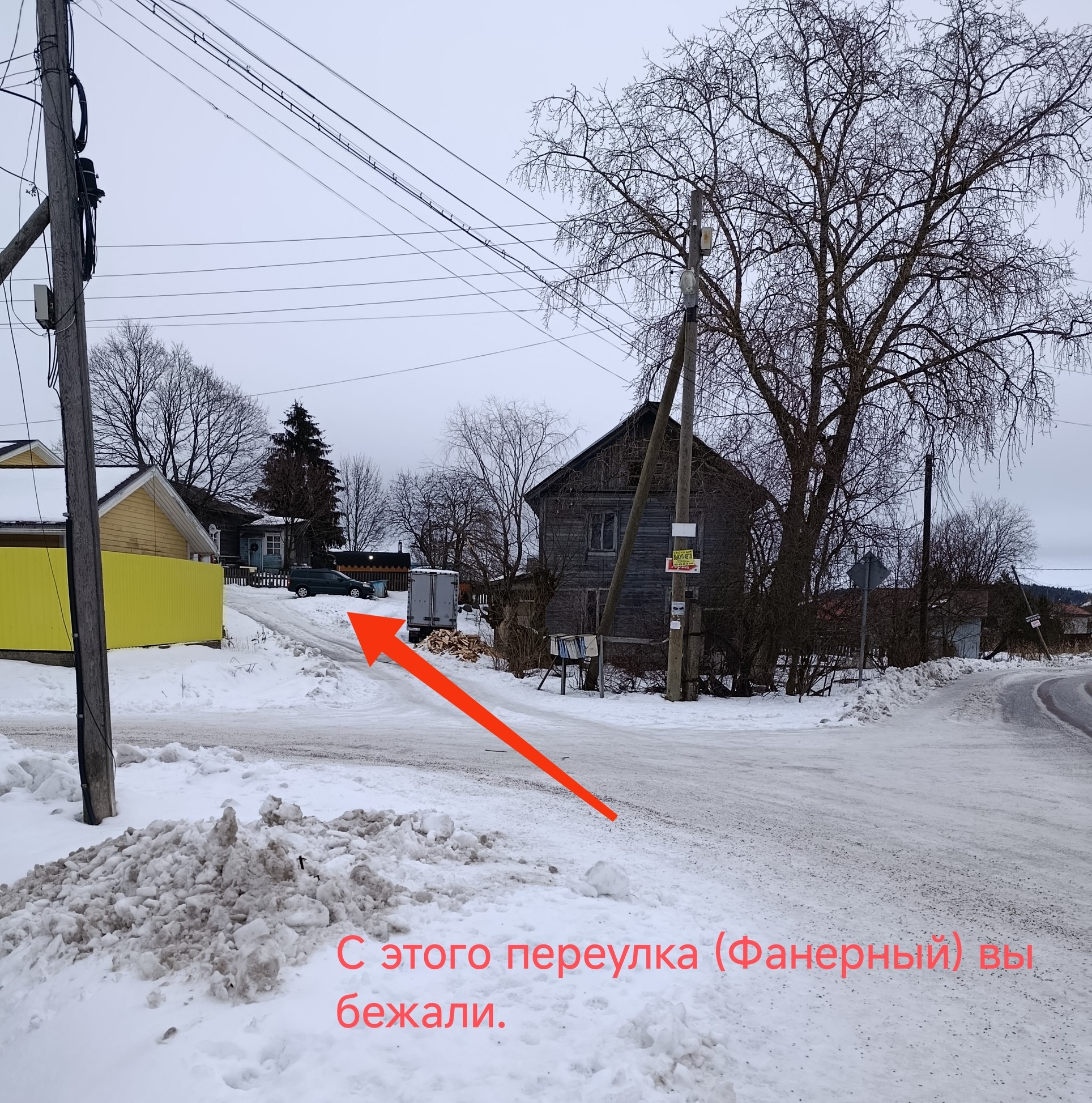 В Сортавале собака напала на прохожую и скрылась