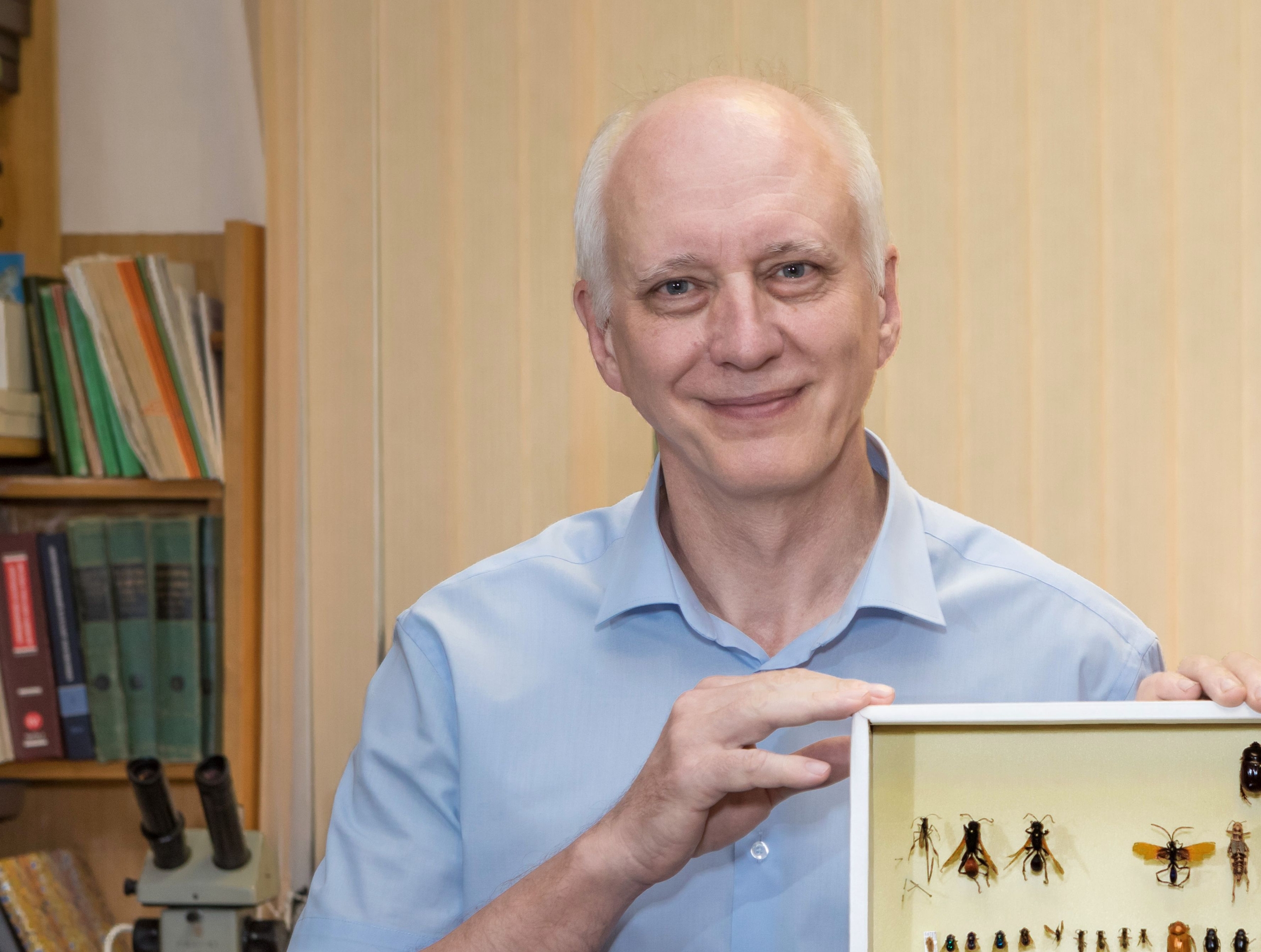 Карельский ученый открыл шесть новых видов ос-наездников