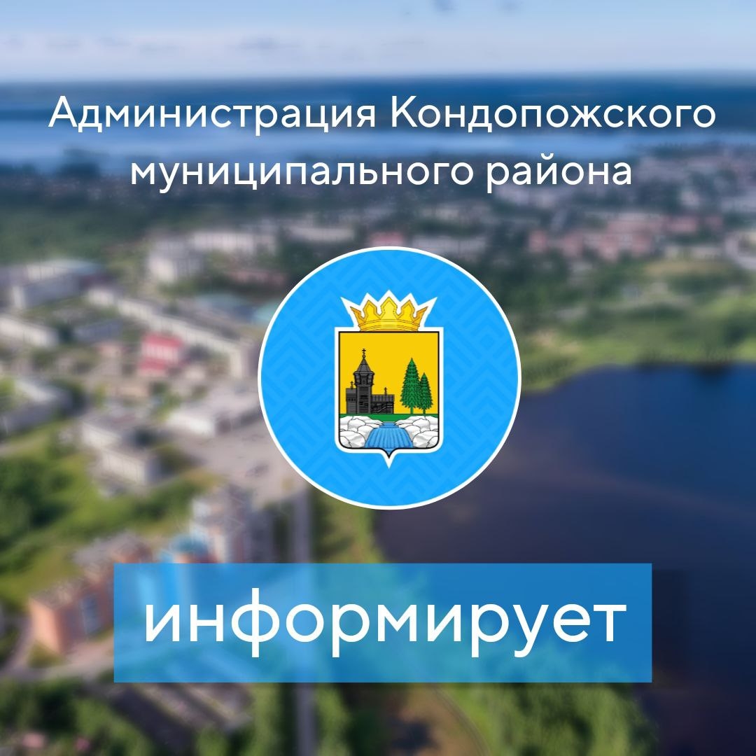 В Кондопожском районе снимут с опор ЛЭП незаконные камеры и датчики