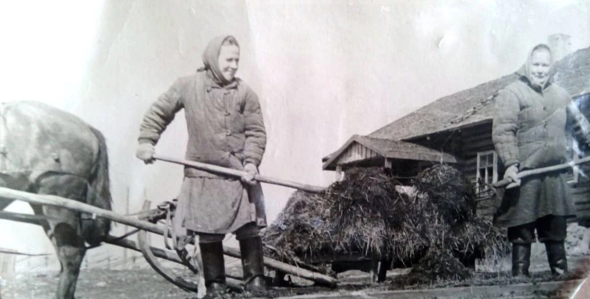 Совхоз «Ведлозерский» отмечает 70-летний юбилей