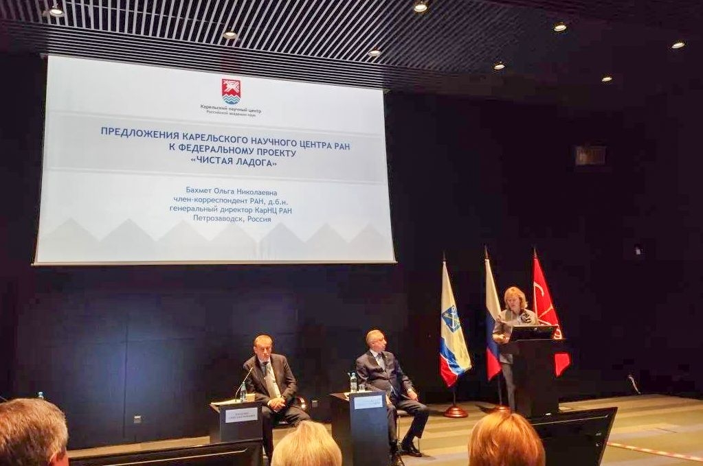 Ученые предложили единую систему мониторинга для спасения Ладоги