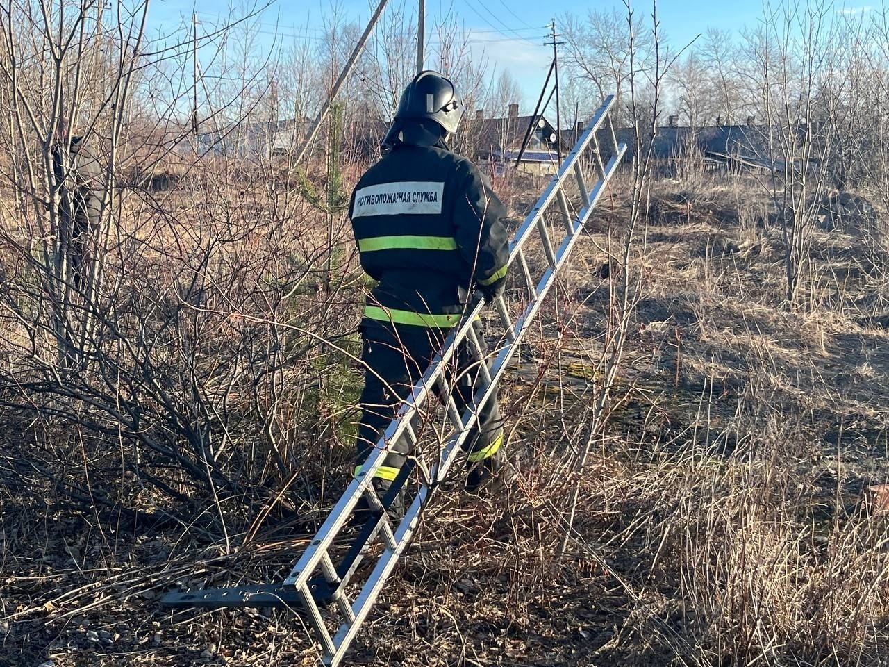 Пожарные Кеми спасли собаку из трехметровой ямы