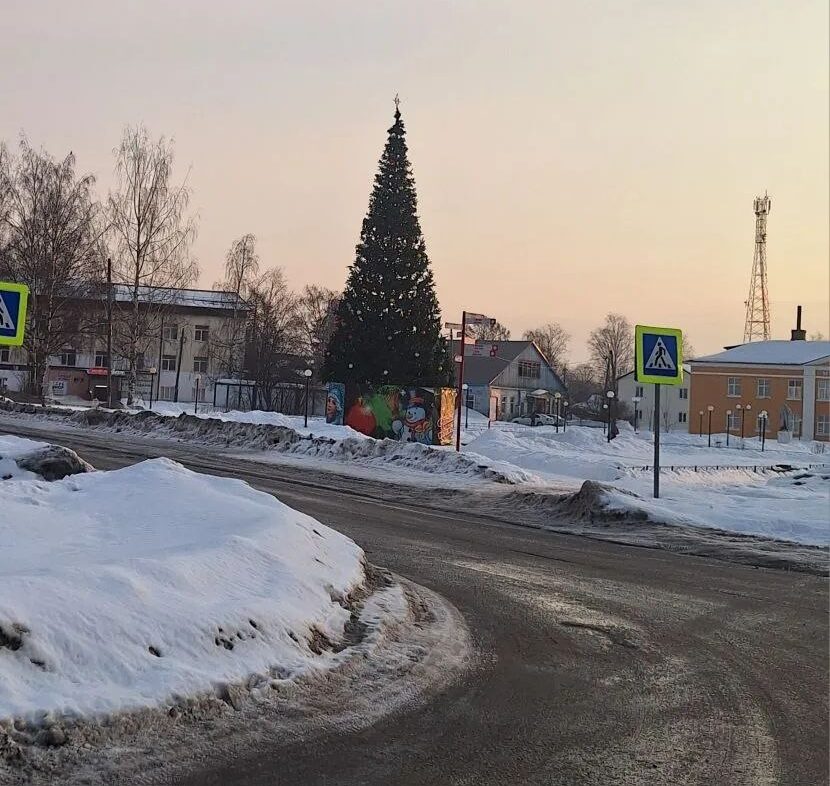 Первомай встретят новогодней ёлкой в одном из городов Карелии