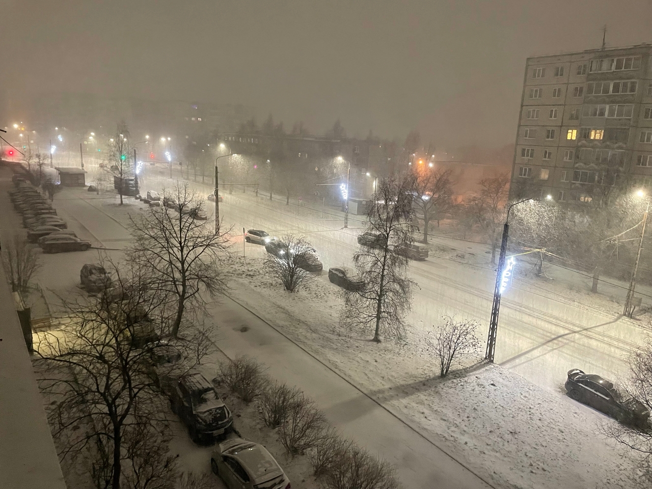 Туман и мокрый снег спустятся на Карелию ночью 10 марта