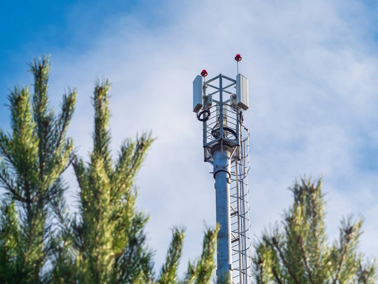 Жители поселков и деревень Карелии передали через базовые станции «Ростелекома» более 2 петабайт данных в 2025 году