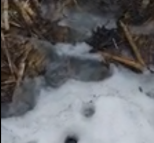 Детская шалость едва не привела к пожару